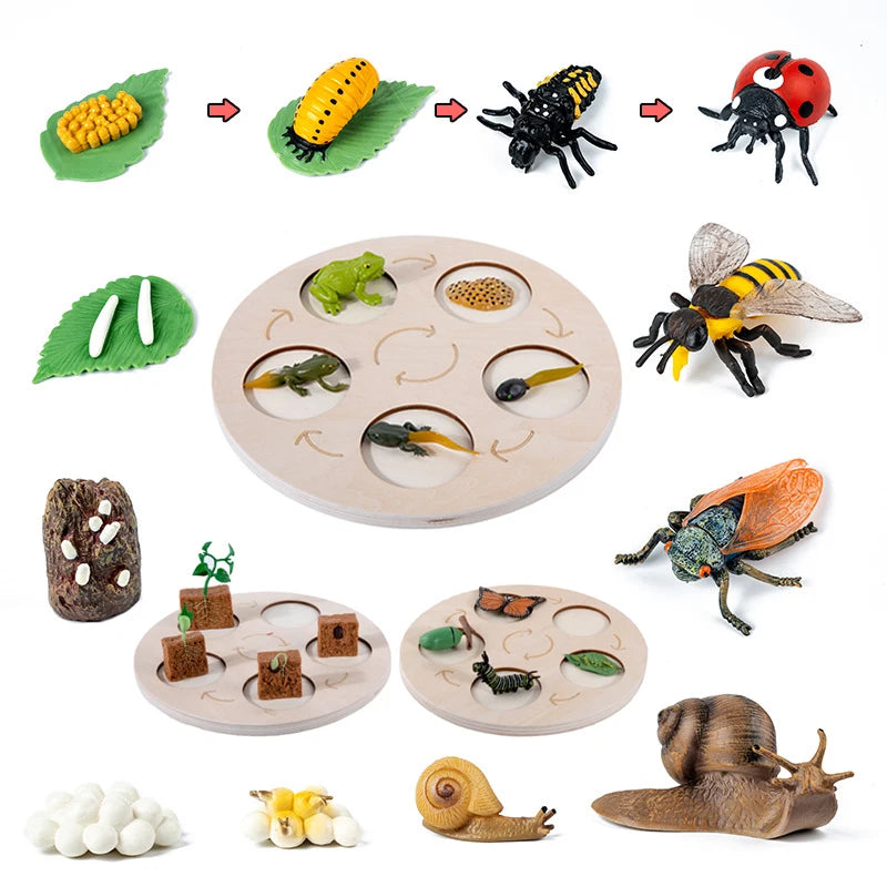 Jeu de Figurines Métamorphose - Explorez les Mystères de la Nature 🦋🕷️🐍